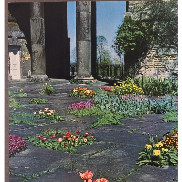 ! 1 Page/2 Sides From VTG 1951 Photography Book, Tulips, Braham Park England - Picture 4 of 5
